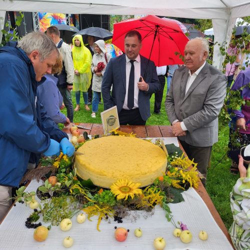 Latvijas novadu Siera diena Jelgavā 26.augustā
